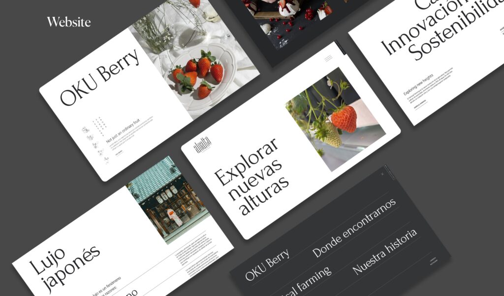 Branding Website AloAlto