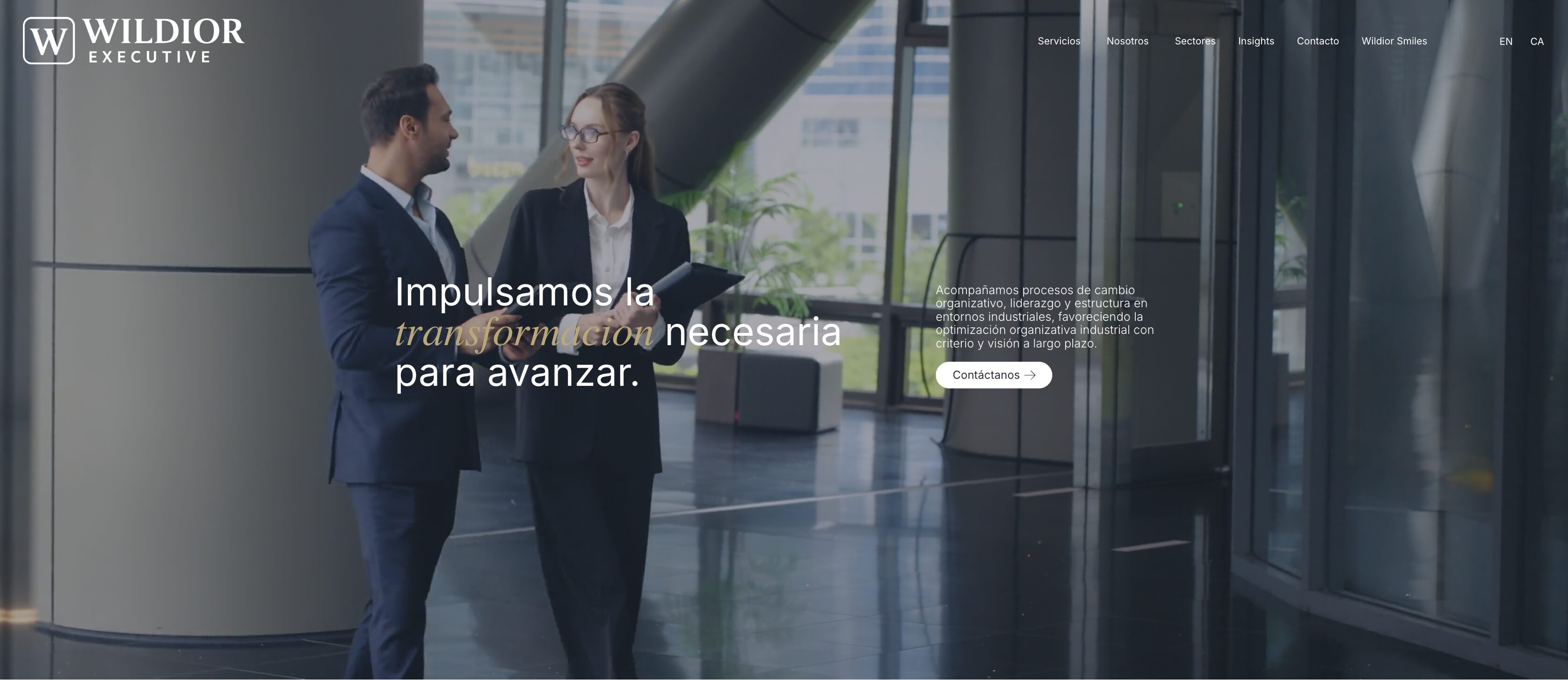 Home web Wildior Executive